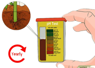 تحليل ال PH وتقدير نسب تراكيز الاملاح في عينات التربة والماء واعداد تقارير فنية تحتوي على التوصيات اللازمة بذلك