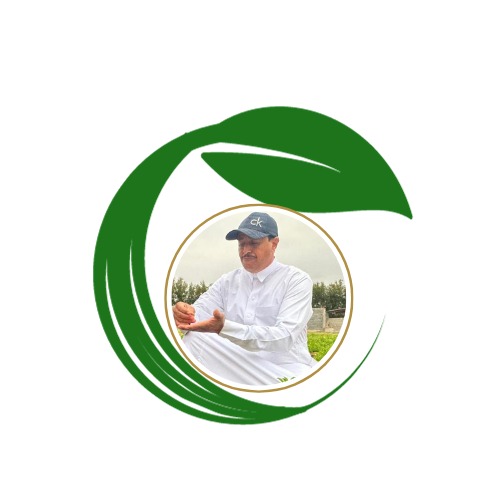 أ.حمد منصور ال عباس 